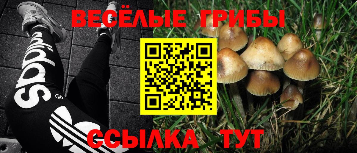 Псилоцибиновые грибы Psilocybine cubensis  Вход с VPN  Псилоцибиновые грибы Psilocybe  Избербаш 